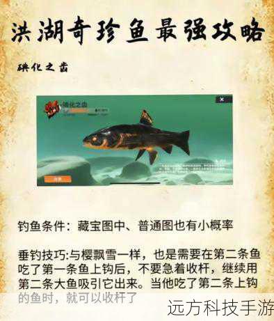 欢乐钓鱼大师攻略大全,解锁垂钓乐趣的终极指南