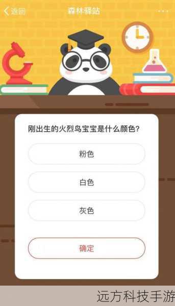揭秘森林驿站,刚出生的火烈鸟宝宝色彩之谜——6月1日的温馨发现