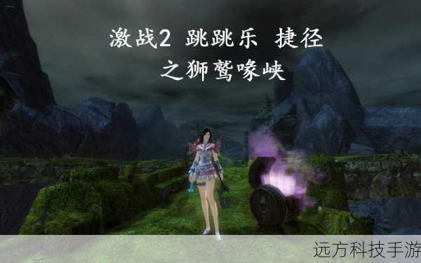 激战2跳跳乐大全(激战 2 跳跳乐大全,挑战与乐趣的盛宴)