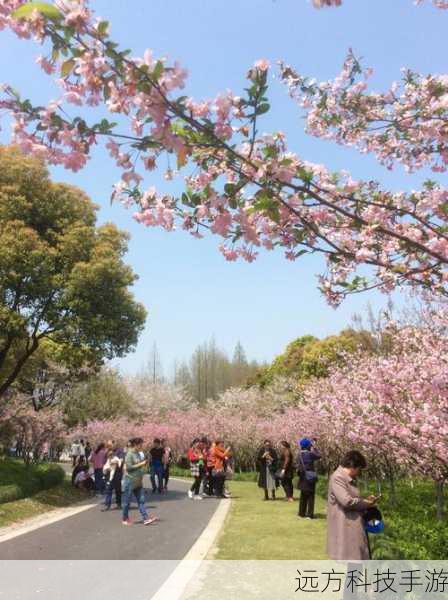 春暖花开公告区(春暖花开,公告区的新起点)