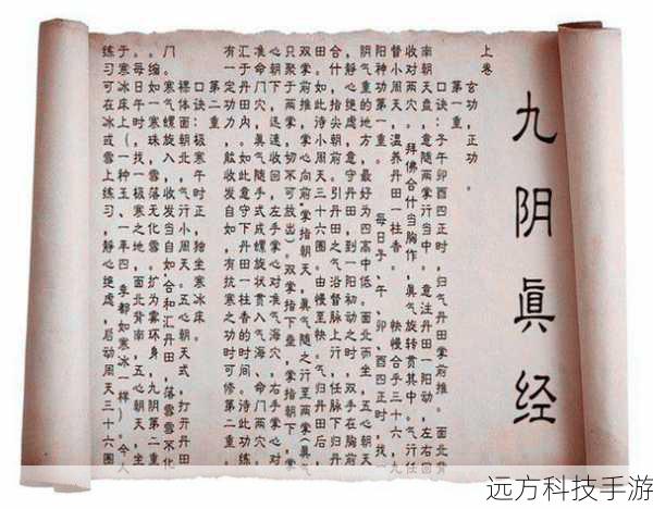 九阴真经五内(九阴真经五内,武学之巅的奥秘与修行)