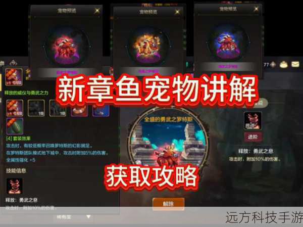 dnf免费领取宠物(DNF 免费领取宠物全攻略)