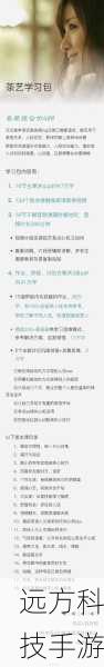 纷争,相对低调,但他的作用同样不可忽视,他在背后默默支持着其他骑士,为他们提供必要的协助和策略指导。