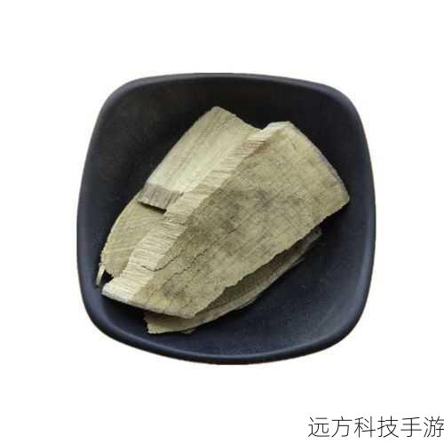 在苍木山,姜云凡会遇到各种小怪,注意合理运用技能和道具进行战斗,继续前进会触发与血手和毒影的战斗,注意躲避他们的强力技能,完成战斗后,前往狂风寨。