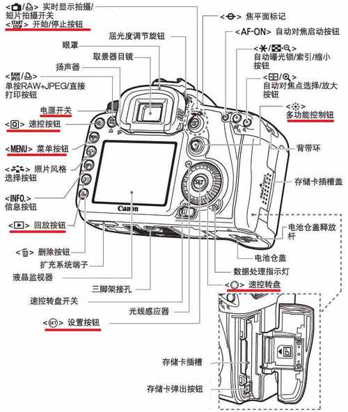 佳能7D连拍功能的应用场景