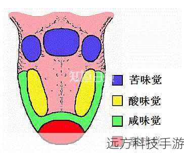 味觉对比效应,是指两种或多种不同味道同时或相继作用于味蕾时,其中一种味道会增强另一种味道感知的现象,在甜食上撒盐,正是利用了这一原理,盐的微咸能够凸显出糖的甘甜,使得甜味显得更加鲜明和饱满,这种对比不仅增强了甜味的感知,还使得整个味觉体验更加立体和复杂。
