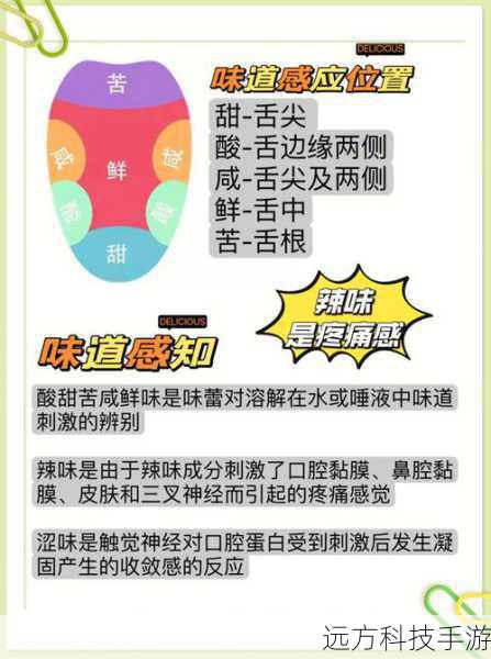 人类的味蕾对味道的感知具有适应性,即长时间接触同一味道后,其敏感度会逐渐降低,即所谓的“味觉疲劳”,在甜食上撒盐,通过引入新的味觉元素——咸味,可以打破这种适应性,使味蕾重新焕发活力,对甜味产生新的感知和兴趣,这种调整不仅延长了味觉的享受时间,还提升了整体的味觉满意度。