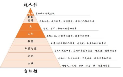 5. 多种款式,满足不同需求