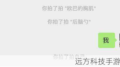 除了提醒功能外,“拍一拍”还可以被视为一种打招呼或问候的方式,在聊天开始时,使用“拍一拍”可以表达一种友好的态度,类似于现实中的轻拍肩膀或挥手致意,这种非语言的交流方式有助于营造轻松愉快的聊天氛围,促进双方之间的亲近感。