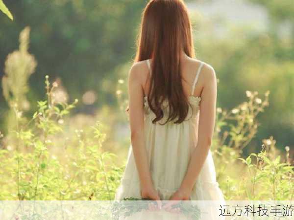 3. 表达情感与态度