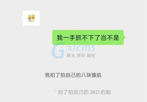 “拍一拍”功能还具有一定的趣味性,用户可以通过设置各种有趣的后缀来与好友进行趣味互动,在群聊中,有人可能会设置“拍了拍自己的肚子,暗示着大腹便便”这样的后缀来调侃自己或引发他人的笑声,这种趣味性的互动不仅丰富了聊天内容,还使得社交体验更加愉悦。