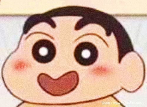 安全性能:固若金汤,无懈可击