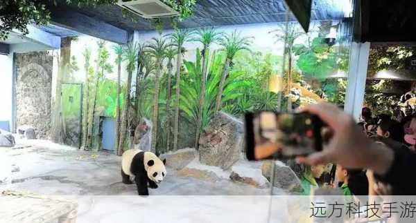 当你踏入猴岛的那一刻,你就仿佛进入了一个全新的世界,你会遇到各种各样有趣的角色,他们有的狡猾,有的善良,有的则充满了神秘,与他们的互动不仅能够推动游戏的进展,还能够让你更深入地了解这个世界的背景和故事。