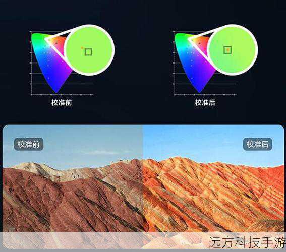 屏幕表现:细腻与清晰并存
