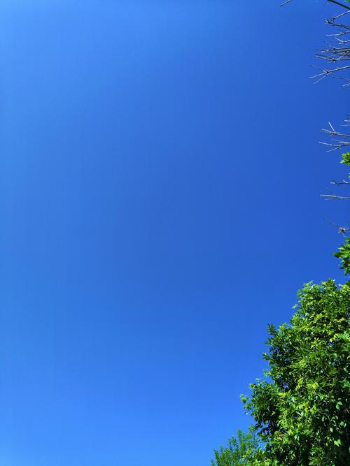 “RAINTODAY”和“CLEARSKIES”秘籍则可以分别让天空下起雨或变得晴朗,这在我们想要营造特定氛围或应对不同天气对游乐设施的影响时非常有用。