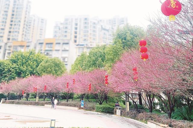晨昏线游戏以其独特的魅力和丰富的内容吸引着众多玩家,了解其内存大小等相关信息对于玩家来说至关重要,希望通过本文的介绍,玩家们能够对晨昏线游戏有更全面、更深入的了解,从而更好地享受游戏带来的乐趣,也期待着这款游戏在未来能够不断发展和完善,为玩家们带来更多的惊喜和感动。