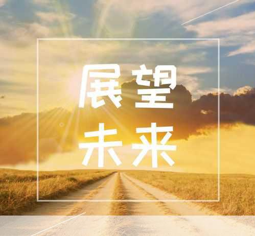 总结与展望:小巧玲珑,未来可期