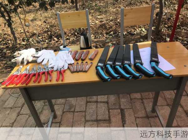 摩托罗拉V3c拆机指南，详细方法步骤