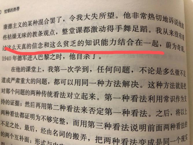 引言:小身材,大作为
