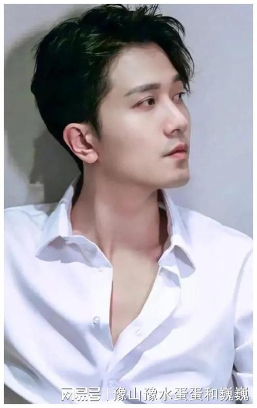 回顾张书弘的演艺生涯,我们可以看到他的坚持和努力,他用自己的实际行动诠释了什么是对梦想的执着追求,在竞争激烈的演艺界,他凭借着自己的才华和努力脱颖而出,成为了一颗耀眼的新星。