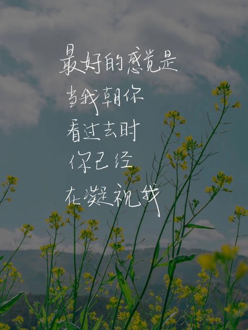 当上映的那一刻终于到来,我们将怀着满满的热情和期待,走进这个属于《我要和你在一起》的世界,无论是在电影院里还是在自己的家中,无论是独自欣赏还是与亲朋好友一起观看,这都将是一次难忘的体验,我们将与剧中的角色们一起经历风雨,一起迎接阳光,一起书写属于我们自己的故事篇章。