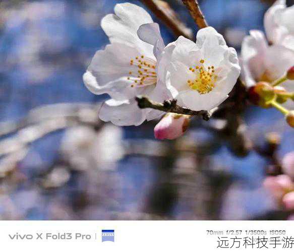 在vivo X3系列的图片中,我们可以看到,无论是微距下的细腻纹理,还是广角下的壮阔风景,都能得到精准而富有层次感的展现,这不仅是对自然之美的真实再现,更是vivo对摄影艺术深刻理解与尊重的体现,通过这些图片,我们仿佛能够穿越时空,亲历那些令人心动的瞬间,感受摄影师按下快门时的那份激动与期待。