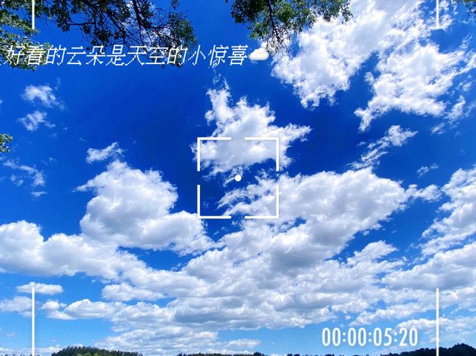 高清画质,记录生活点滴