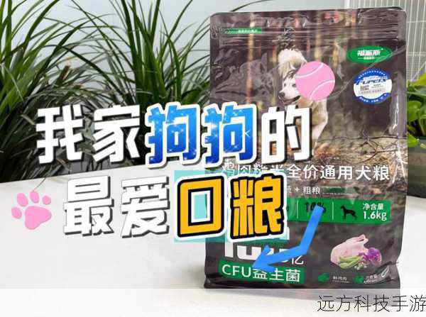 性价比之选,值得推荐