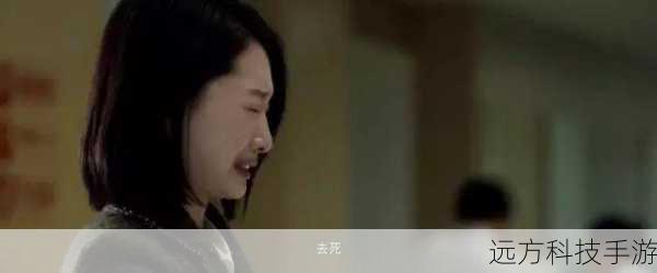 初五启市录之全面解析