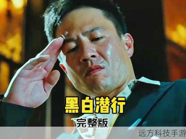 从更广泛的角度来看,《黑白潜行》以及其中的豹哥角色,反映了社会的复杂多面性,在黑白之间,人性的挣扎与抉择得以展现,这与曾志伟所擅长演绎的那些充满矛盾和冲突的角色有着共通之处,他能够将人性的弱点和光辉演绎得淋漓尽致,让我们看到了真实而又生动的人物形象。