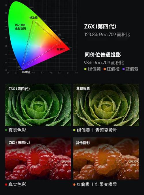 投影性能与画质