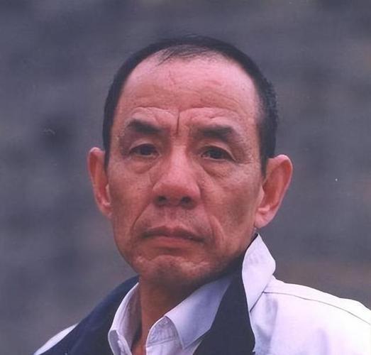 刘亭作,或许并非家喻户晓的名字,但他在演艺道路上的执着与才华却不容小觑,当他接过李晟达这个角色时,一场精彩的演绎之旅便悄然开启。