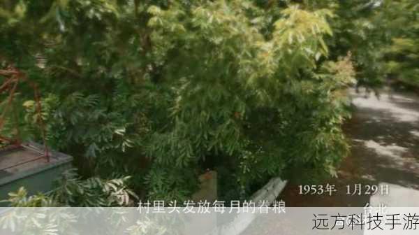 彭子易对杜子腾的演绎不仅仅是外在形象的塑造,更是对其内心世界的深刻挖掘,他用自己的表演让观众看到了杜子腾的善良、勇敢和坚持,同时也看到了他在面对困难和挑战时的挣扎与成长,这种多层次的表演让观众能够产生强烈的共鸣,深入地走进杜子腾的故事。