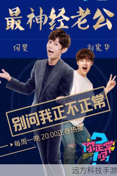 期待的开启与观看指南