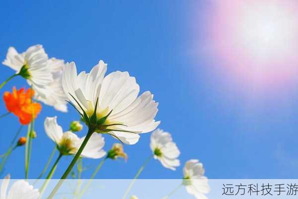 斯宾塞(亚历克斯·克莱因饰):一位年轻而有冲劲的科学家,他对新技术和新发现充满热情,斯宾塞与埃森建立了深厚的友谊,他们一起探索和成长。