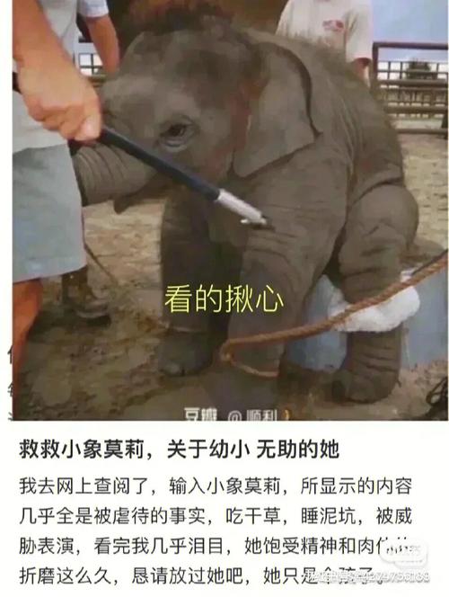 尤利西斯(杰里米·诺森饰):一个强大而危险的敌人,他的存在给莫莉等人带来了巨大的威胁,尤利西斯拥有强大的力量和野心,他的行动推动着剧情向紧张刺激的方向发展。