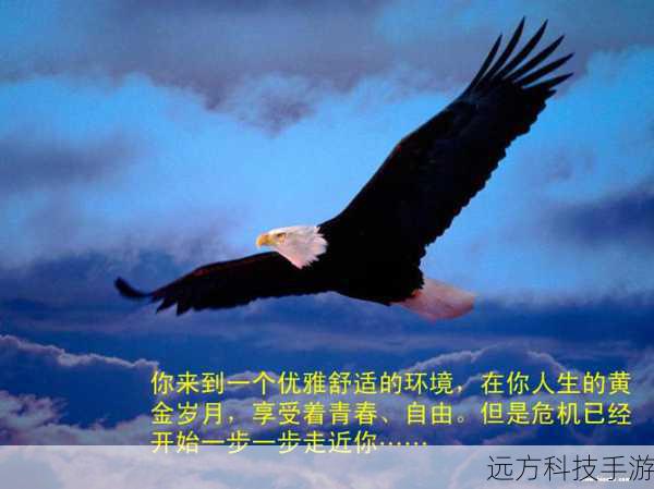 青春守则,是青春岁月里那些不成文却又至关重要的准则,它涵盖了勇敢追求梦想、真诚对待友情、热烈拥抱爱情、坚持自我成长等诸多方面,它告诉我们,在青春的时光里,要敢于尝试新事物,不怕失败与挫折,因为那是成长的磨砺;要珍惜与朋友相处的每一刻,共同分享欢笑与泪水,因为友情是青春最温暖的陪伴;要勇敢地去爱,体验爱情的甜蜜与苦涩,因为那是青春独有的悸动;更要不断地探索自我,发现自己的潜力与价值,因为只有不断成长,才能在青春的道路上越走越稳。