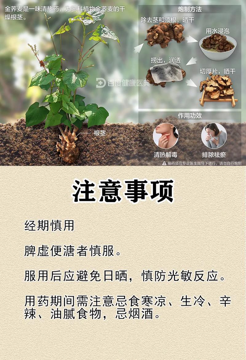 金荞麦片的禁忌