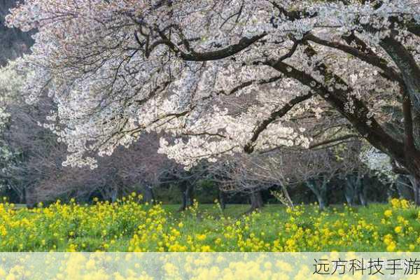 在这个五彩斑斓的世界里,色彩不仅是视觉的盛宴,更是心灵的慰藉与灵感的源泉,每当春风拂面,万物复苏之际,复活节便以它独有的方式,用绚烂的色彩装点着每一个角落,提醒我们生活因色彩而美好,心灵因色彩而丰盈,在这个充满希望的节日里,让我们一同探索几款精心挑选的复活节彩色本本,它们不仅承载着记录生活的使命,更是激发无限创意与梦想的魔法道具。