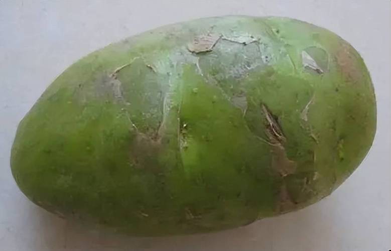 这一集中的土豆,成为了一个特别的存在,它看似微不足道,却在关键时刻发挥了重要的作用,或许它代表着生活中那些看似平凡却蕴含着无限可能的事物,就像土豆,它可以是简单的食材,也可以成为艺术创作的灵感源泉,在剧中,土豆成为了连接人物情感的一条纽带,它引发了一系列的故事和思考。