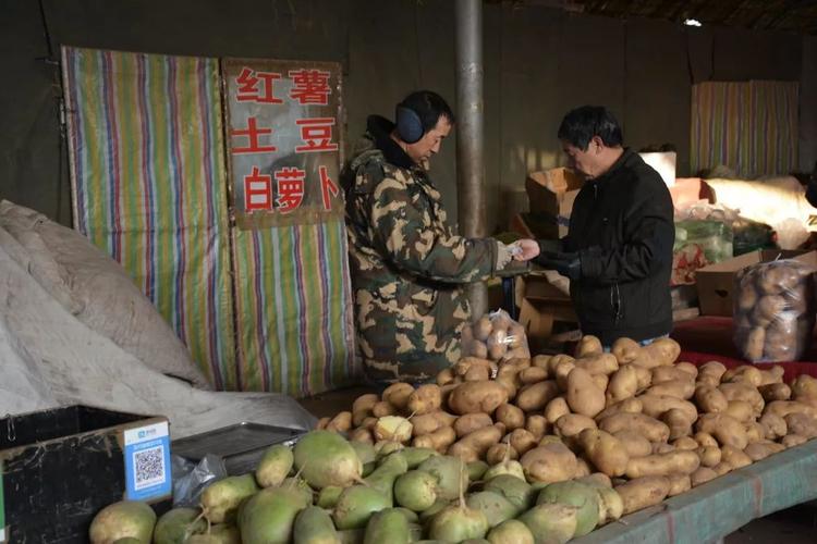 在一个平凡的场景中,女主人公在菜市场挑选土豆,这些土豆形态各异,有的光滑圆润,有的则带着些许瑕疵,就如同生活中的人们,各自有着不同的性格和经历,她仔细地挑选着,仿佛在寻找着生活中那一丝确定性,这一场景不仅仅是日常生活的写照,更是她内心渴望安定与真实的外在体现。