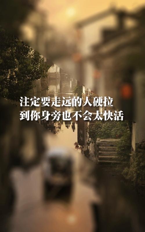 婚姻,是许多人心中的憧憬和向往,它代表着一种承诺、一种责任,更是一种深深的情感纽带,苏菲在追寻婚姻的道路上经历了种种波折和困难,但她始终没有放弃,周秀娜用她的表演让我们看到了一个女性的坚强和勇敢,也让我们相信,只要我们坚持自己的信念,幸福终究会降临。