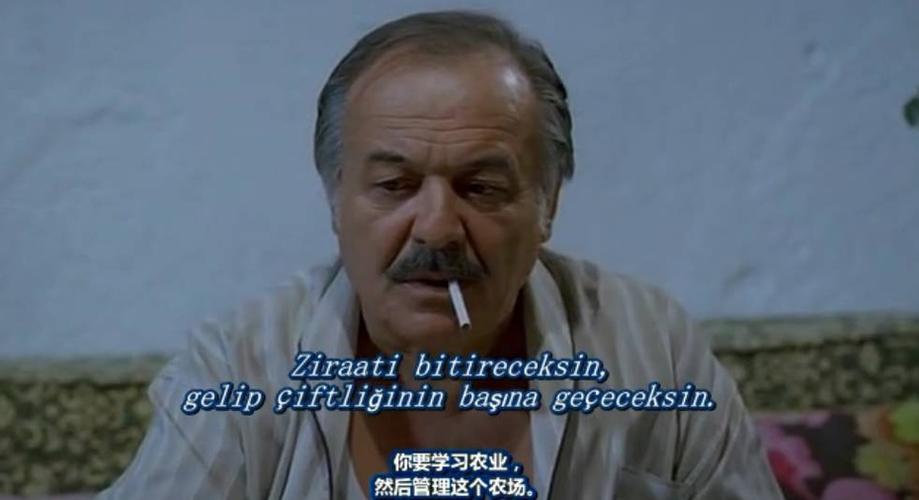 在《好大一个家》中,每一个角色都有着自己独特的性格和故事线,他们相互交织、相互影响,共同构建了一个丰富多彩的“大家庭”,演员们通过精湛的表演,将这些角色演绎得淋漓尽致,让观众们能够深入地感受到他们的喜怒哀乐。
