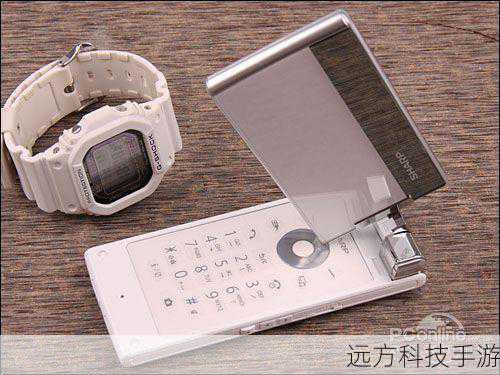 在拍照方面,夏普SH7118C内置了一颗500万像素的自动对焦摄像头,虽然与一些高端手机相比,SH7118C的摄像头像素并不算高,但在实际拍摄中,其成像质量依然可圈可点,尤其是在光线充足的环境下,SH7118C能够拍摄出清晰、细腻的照片,SH7118C还支持多种拍摄模式和自定义设置,如连拍、白平衡、情景模式等,让你能够轻松拍出满意的照片。