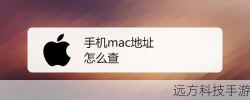 为什么要查询手机MAC地址?