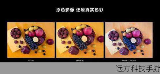 1、色彩还原精准：Bionz影像处理器通过先进的色彩管理算法，能够准确捕捉并还原拍摄场景中的真实色彩，无论是鲜艳的花朵、蔚蓝的天空还是深邃的海洋，都能在索尼A65的镜头下得到生动再现。