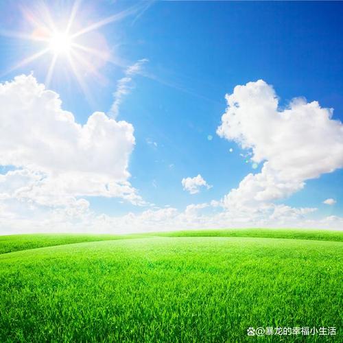 随着时间的推移,天空的颜色逐渐恢复了生机和活力,人们的梦想也重新被点燃,艾米莉成为了这个世界的英雄,她的故事被传颂开来,激励着更多的人去追求自己的梦想。