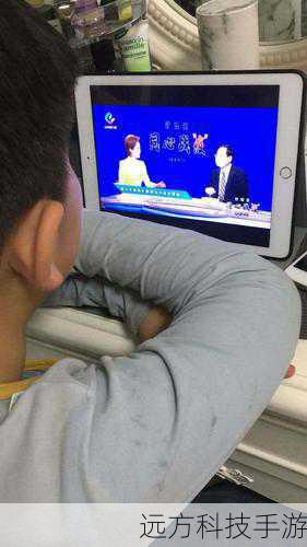 三、观看方式