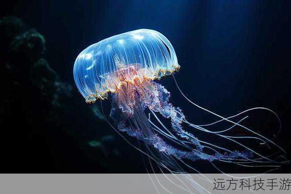 在数字世界的浩瀚海洋中,文件类型如同五彩斑斓的贝壳,各自承载着不同的信息与功能,我们就来揭开一个神秘面纱——DXD文件,它究竟是何方神圣?为何能在音频与图形领域同时占据一席之地?