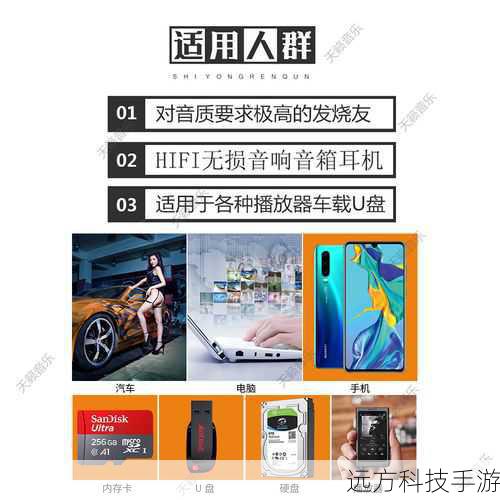 DXD的出现,不仅满足了专业录音室对母带制作的高要求,还广泛应用于DSD(Direct Stream Digital,直接流数字)录音的后期处理中,由于DSD采用的1bit直流编码方式在编辑上存在一定局限性,许多母带工程师转而使用DXD作为替代,以便对录音进行更加精细的动态调整、均衡处理及其他效果调校,DXD还支持基于PCM格式的数字音频工作站上的各种音频插件,使得它在Protools、Pyramix、Cubase等主流音频软件中都能大放异彩。